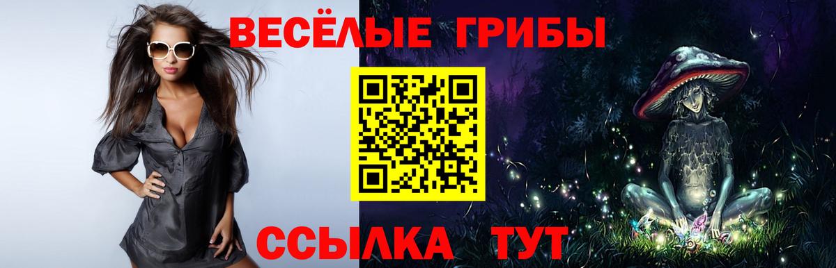 Псилоцибиновые грибы GOLDEN TEACHER Павловский Посад